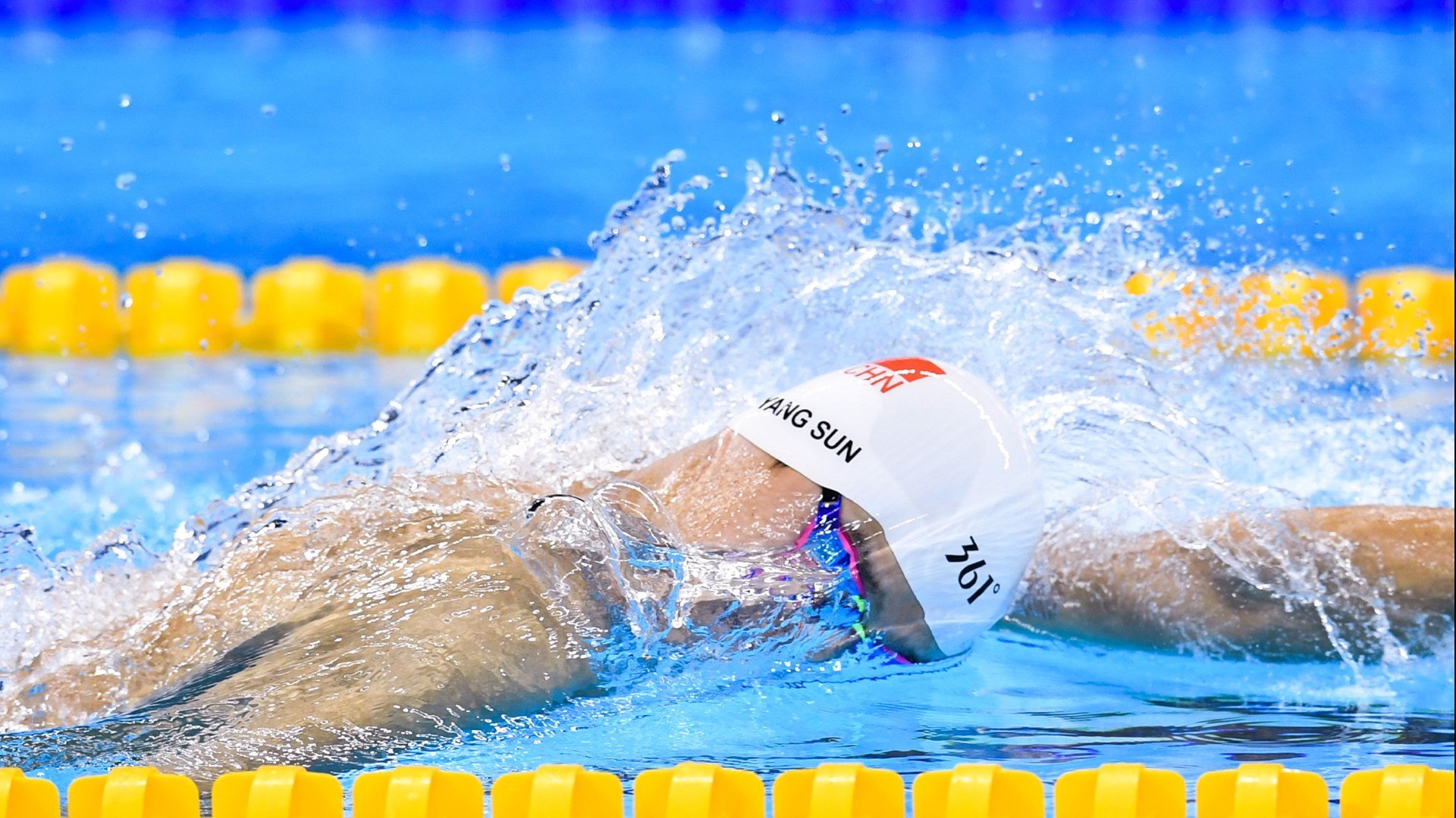 日本武道馆举办大型空手道比赛，日本空手道比赛规则
